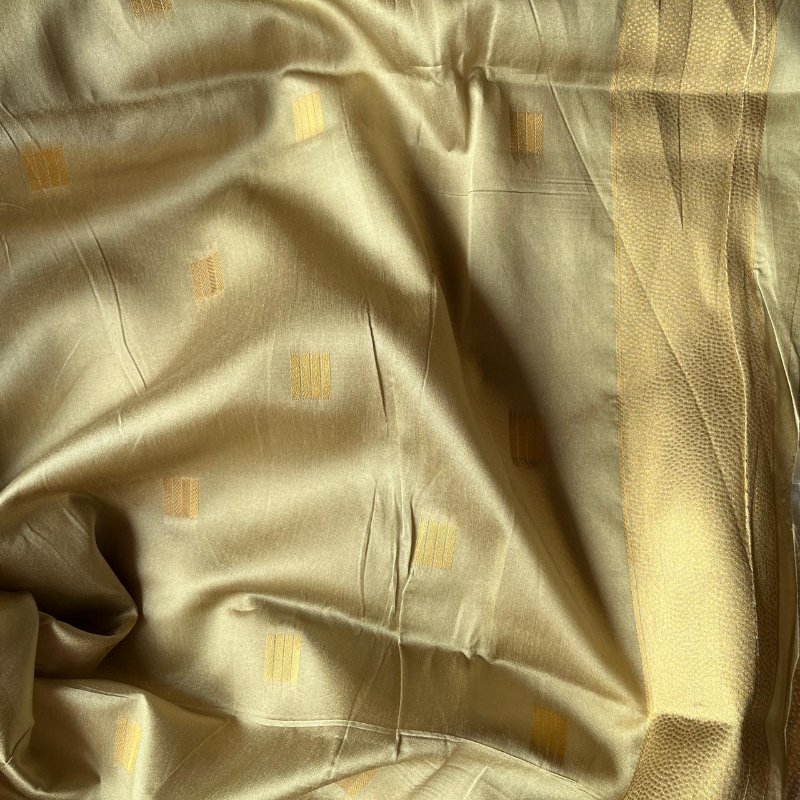 SEMI PATTU |DSPS003 - Image 2